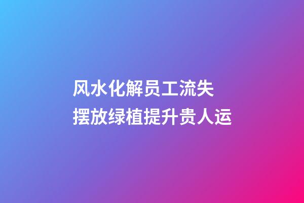 风水化解员工流失 摆放绿植提升贵人运